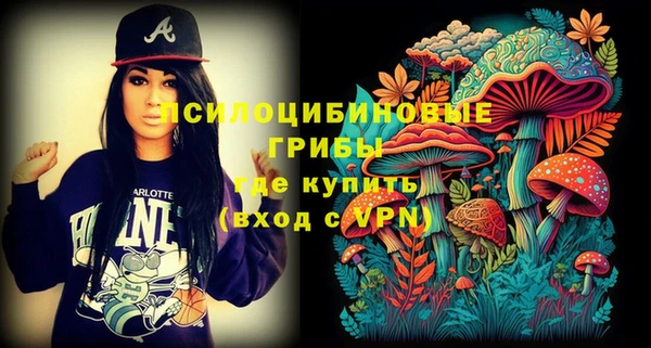стаф Зеленокумск