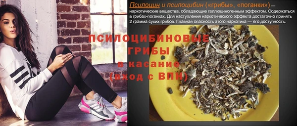 стаф Зеленокумск