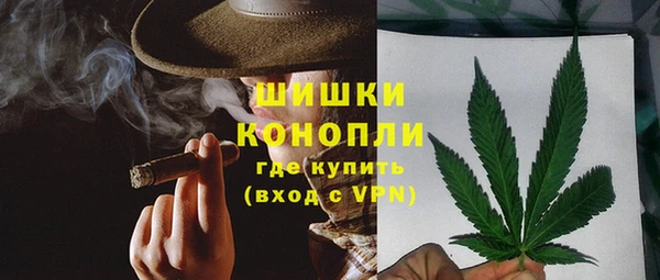 крисы Зерноград